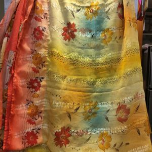 Beautiful Bright Colourful Saree