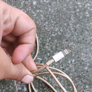 Apple Lightning Cable