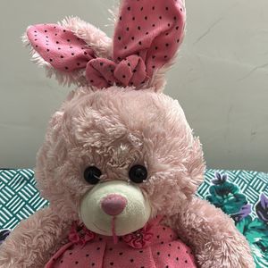 Soft Toy Teddy For Kids