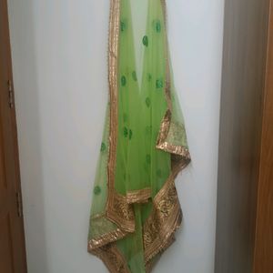 Elegant Green Net Choli Set