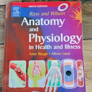 Anatomy And Physiology In Health An Illness