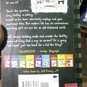 Diary Of Wimpy Kid Book