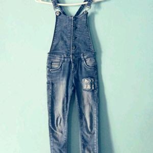 Zola denim Jumpsuit (tightfit)