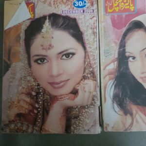 Urdu Novel