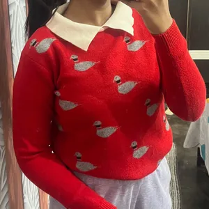 Red Swans Collar Sweater