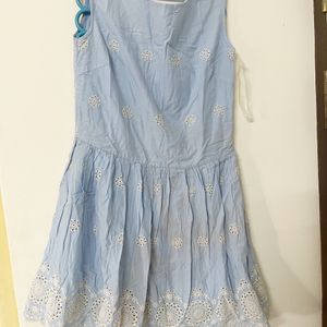 Max L/14 Dress