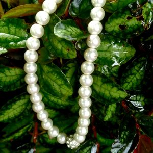 Pearl Neck Chain