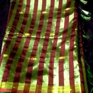 Vivo Vandini Saree