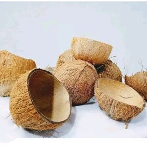 Coconut Shell with 2 Pieces 160rs