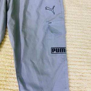 Puma Lower