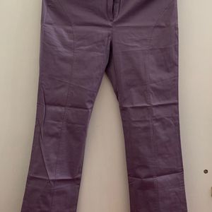 Purple Colour Straight Fit Pants || Polo Brand