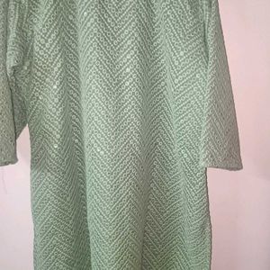 Unused Chikankari Straight Kurti