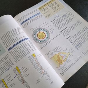 Vishram Singh Clinical Neuroanatomy