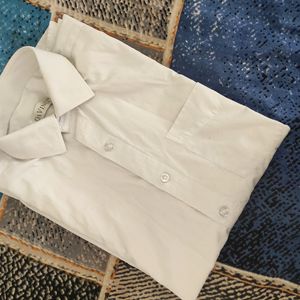 DIVINCI Shirt For Men