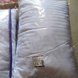 2 Pc Bombay Dyeing Pillow