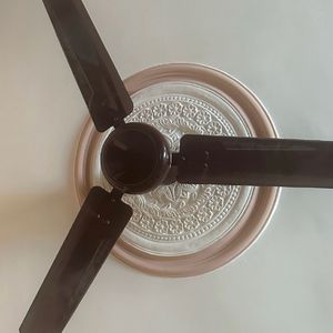 Havells Standard Fans Used But In Good Condition