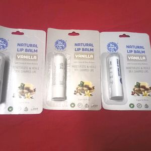 PACK OF 3 THE MOMS CO VANILLA LIPBALM