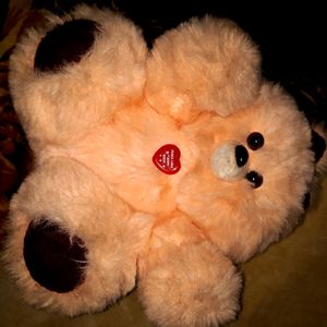 Big Size Cute Teddy