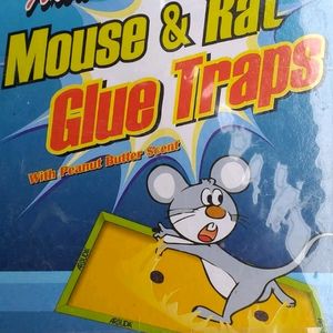 Glue Trap For Mouse