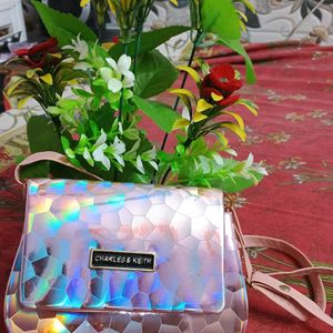 Charles And Keith Purse