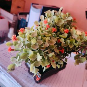 Artificial Bonsai Plant With Cute Reddish Flowers