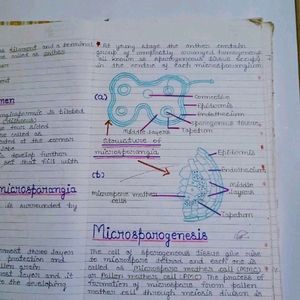 Biology & Physics Notes For Class 12th CBSE