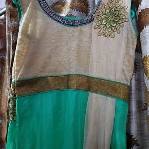 Light Green & Cream Net Ethnic Gown