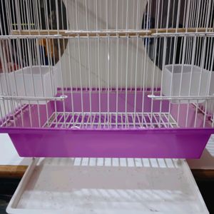 New Bird Cage