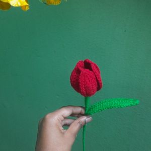 Crochet Red Tulips 🌷