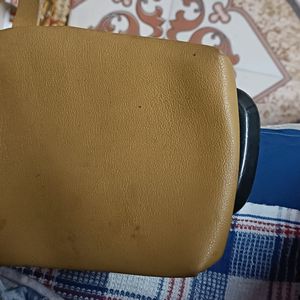 Mustered Colour Leather Purse