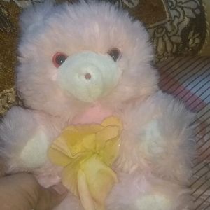 So Cute Teddy Bear 😍😍🐨 Pl Byy Gyuss
