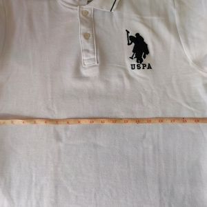 U.S Polo Collar Tshirt