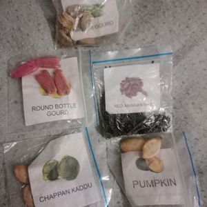 5 Vegetable Seeds