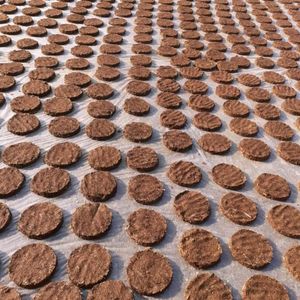 Original Cow Dung Cake Pack Of 11