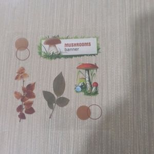 aesthetic mushroom clear stickers