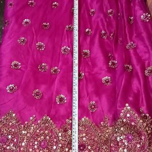 Elegant Party Wear Lehnga❤💖