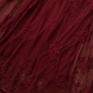 Brownish Maroon Embroidery v Neck Gown