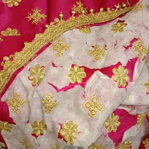 Lehenga Choli Set