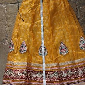 Net Ethnic Choli