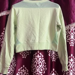 Green Crop Top