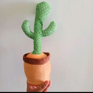 Cactus 🌵