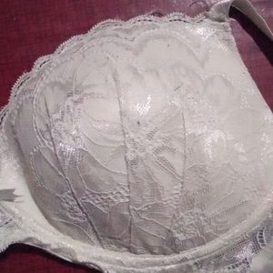 Beautiful Chicken Work Padded Bra