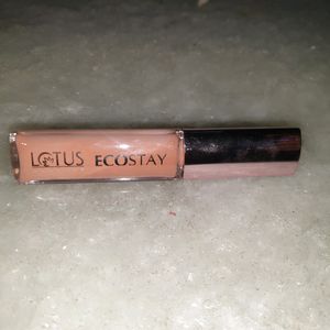 Lotus EchoStay Concealer