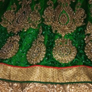 Lehenga Skirt and shaul