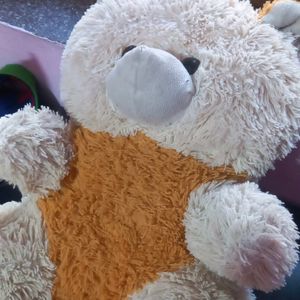 A Soft Teddy Bear For Kids