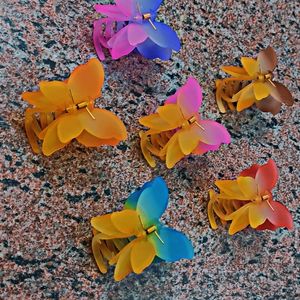 NEW❗ Big Butterfly Clip 🦋 (One Pc-50₹)