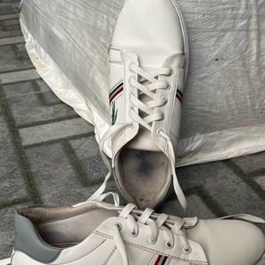 Men White Shoe