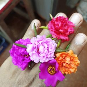 Freshly Harvested White Adenium Seeds