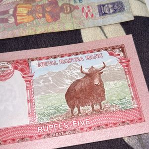 Beautiful Currencies Set