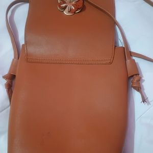 Brown 🤎 Sling Bag